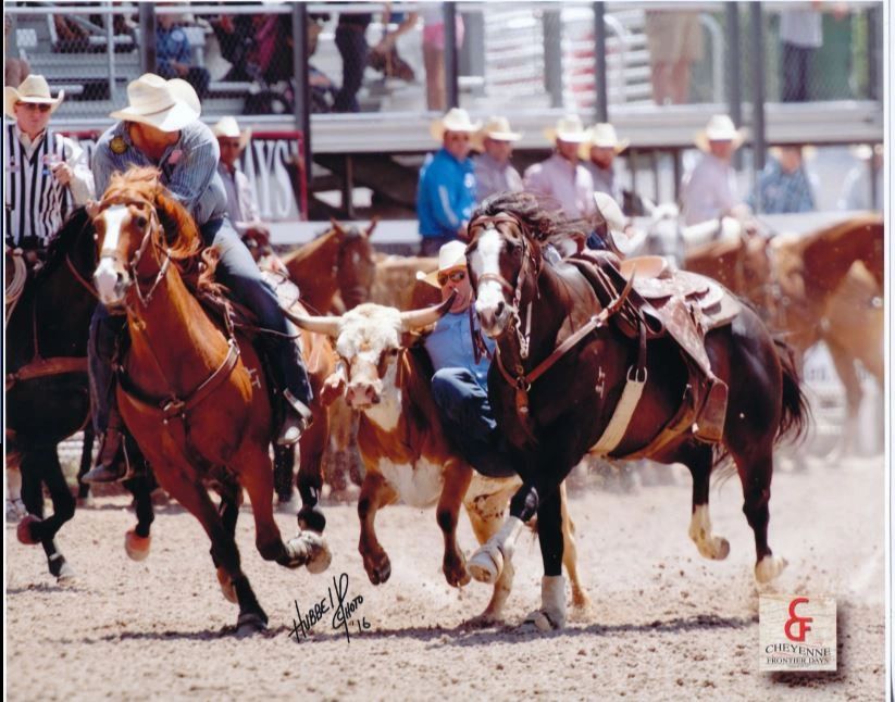 ND Bar Quarter Horses - Horses, Rodeo