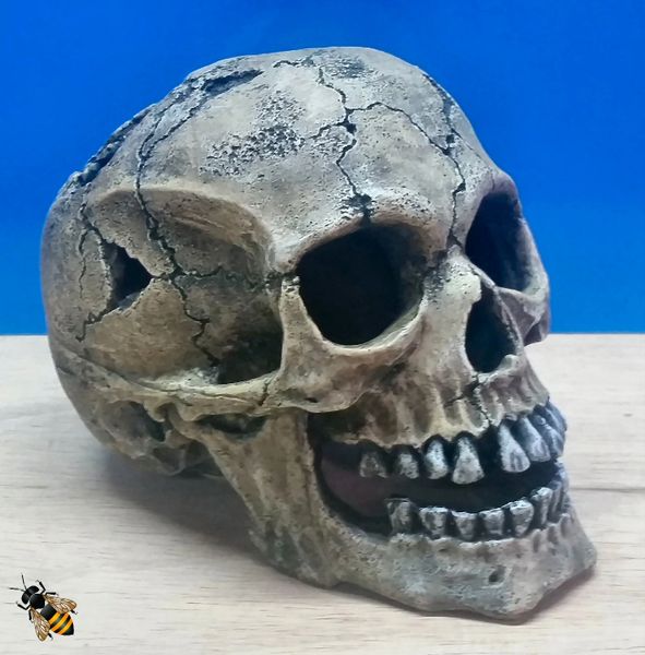 Fish Tank Human Skull Aquarium Ornament Large Cave Decoration Bowl