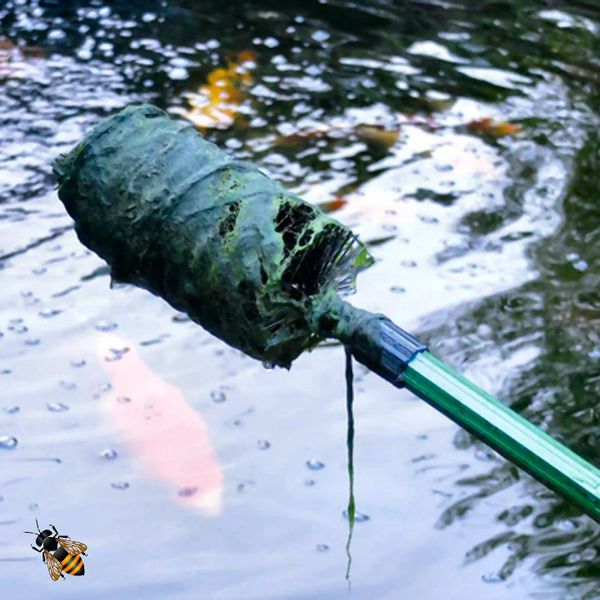 Blanket algae in cheap pond