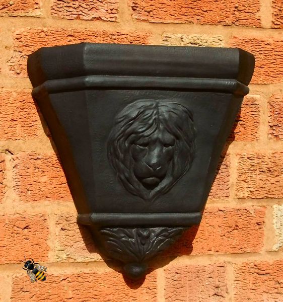 Wall Planter Rain Water Hopper Lion Head Large Garden Flower Pot