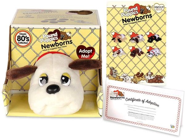 POUND PUPPIES...... NEWBORNS