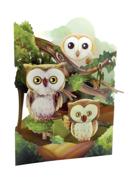 SWING CARD ....WISE OWLS