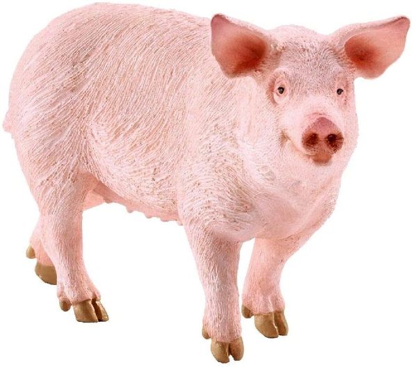 SCHLEICH..... PIG