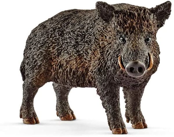 SCHLEICH WILD BOAR