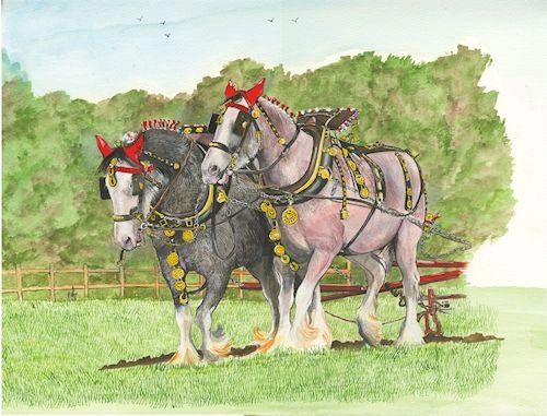 A PAIR OF WORKING SHIRE HORSES