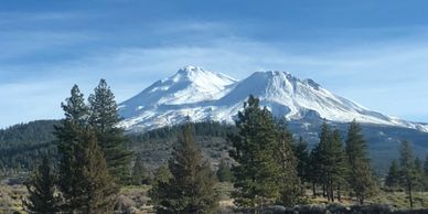 downtown weed california, downtown weed, weed california, weed downtown, weed california downtown