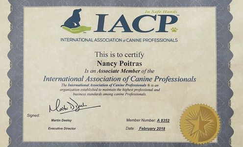 International association of canine professionals.  Member.  In safe hands. Highest standards of dog