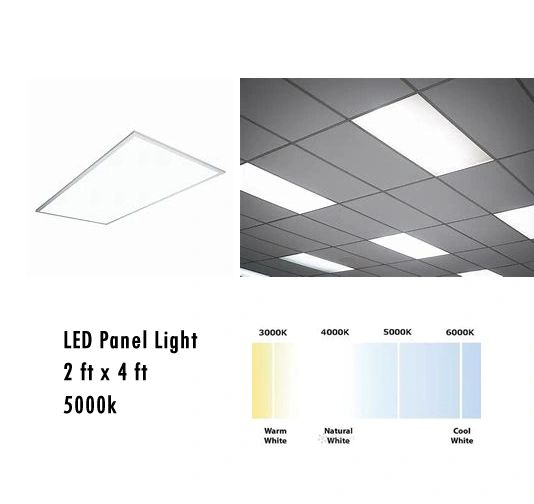 LED PANEL 2 Ft X 4 Ft :5000K