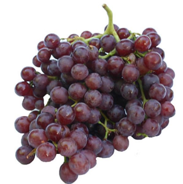 Red grapes punnet