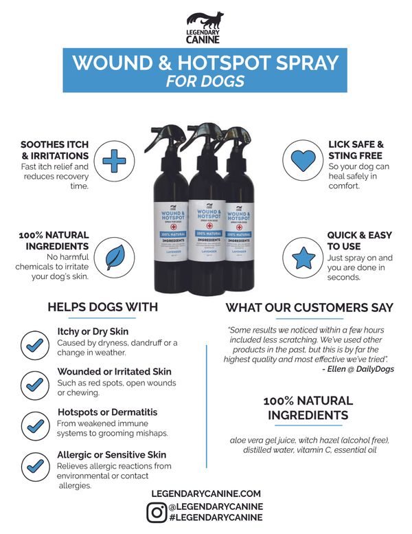 can you use witch hazel on dogs hot spots