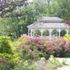 Kauneonga Lake Community Park, Live music in the summer!