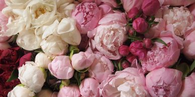 Cutting Peony Stems for Flower Arrangements – Queen Bee Flower Farm