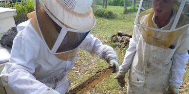 beekeeping lessons