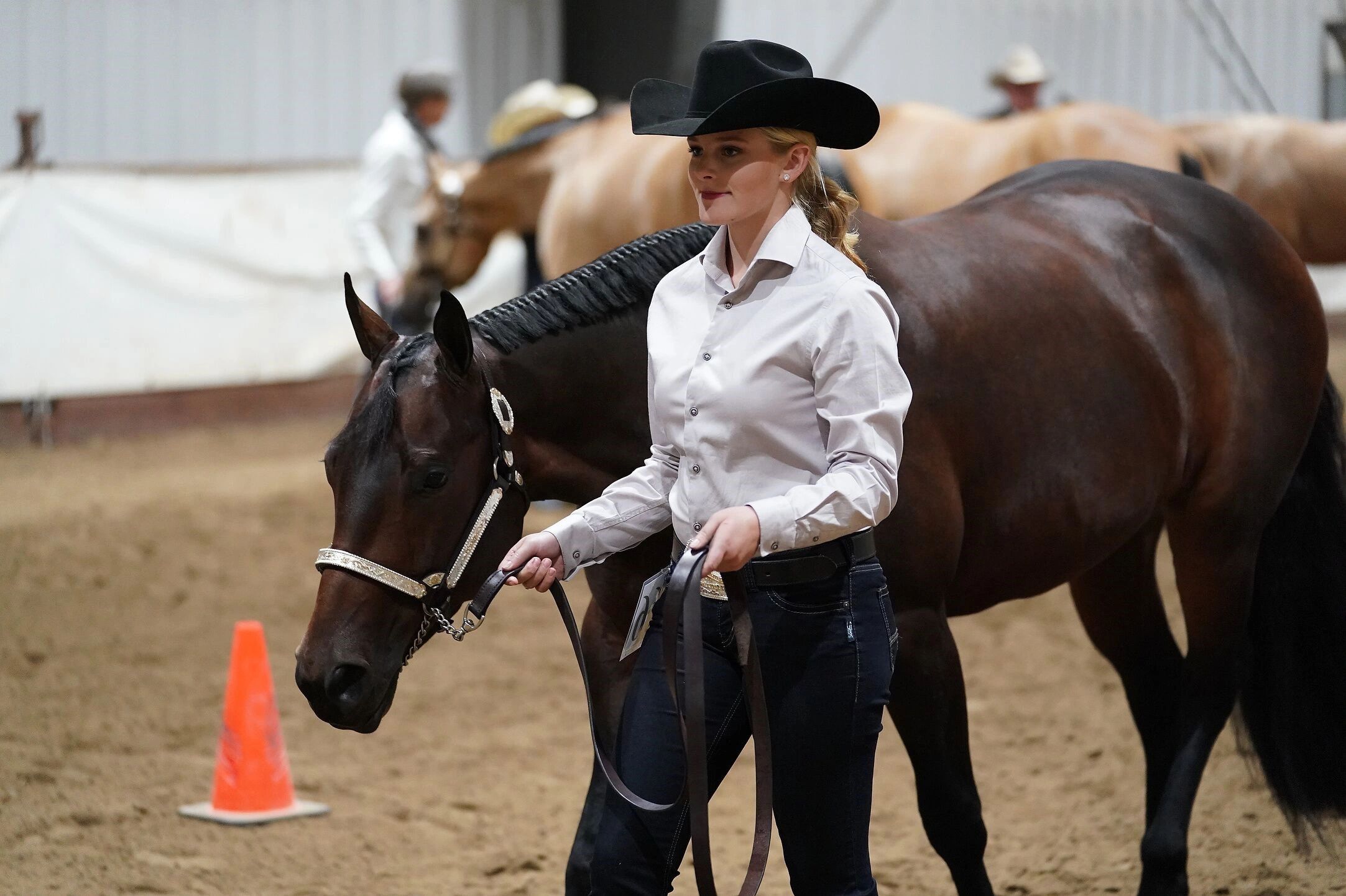 Become A Sponsor | QUARTER HORSE ASSOC. OF ALBERTA