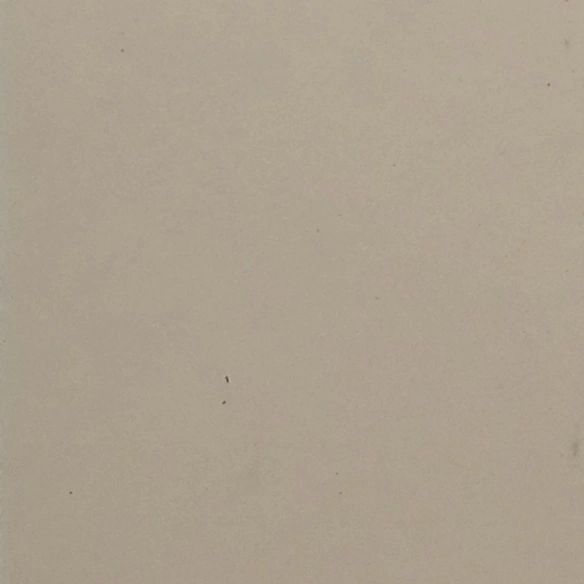 6236 Sandshell Beige Lacquer
