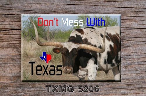 Don't Mess with Texas Fridge Magnet