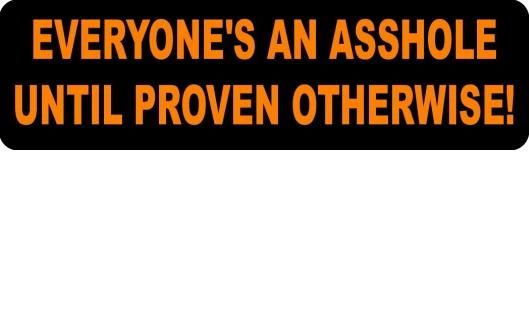 Helmet sticker - everyone's an asshole