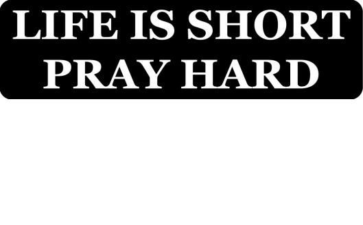 Helmet sticker - Life is short