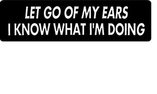 Helmet sticker - let go if my ears I know what I am doing