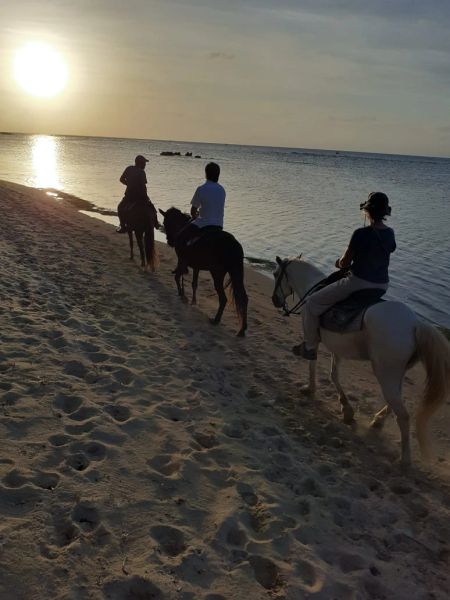 Horseback Riding in Sandy Bay
