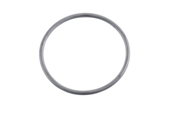 EGR Valve O-Ring 2008-2010