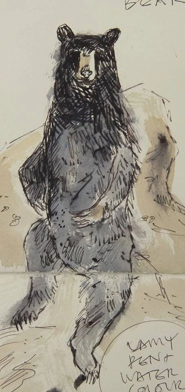 Black bear