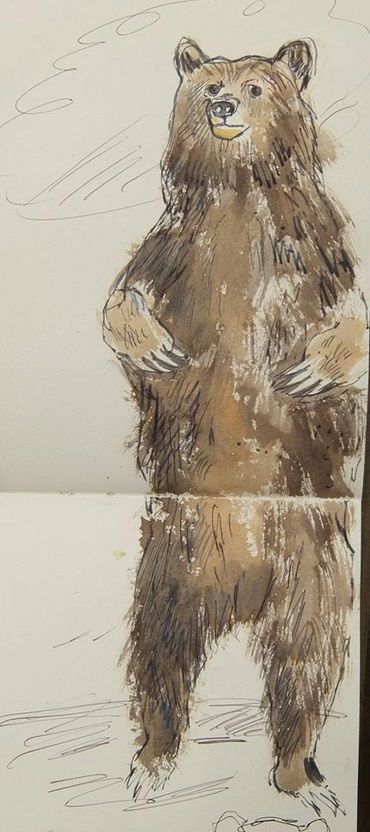 Bear