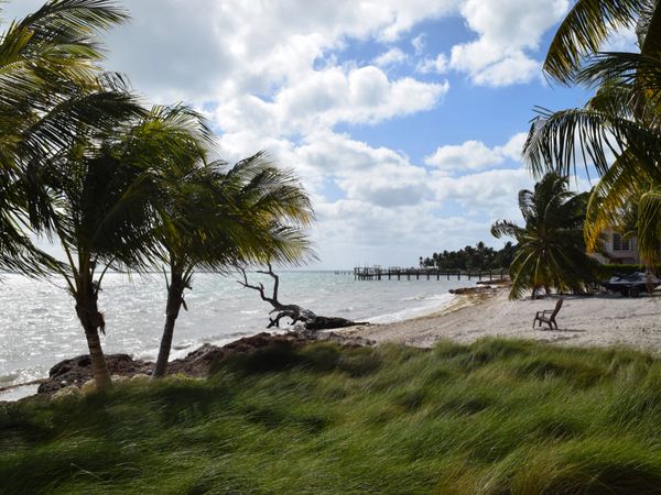 Windy Beach