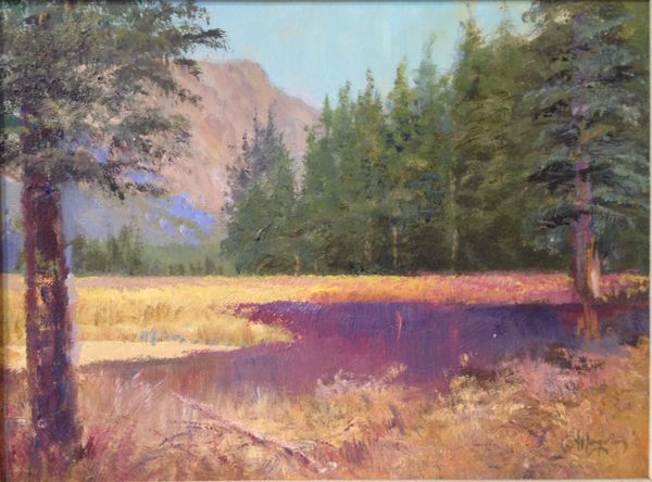 High Country Meadow 11x14