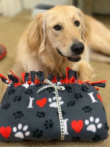 Flash the golden retriever with his new handmade fleece dog blanket 