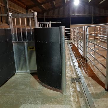 <img src="cattlehandling.png" alt="cattle handling system installation">