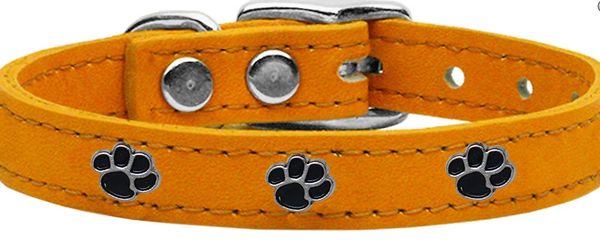Leather Dog Collars: USA Genuine Leather PAWS Dog Collar in Various Colors & Sizes