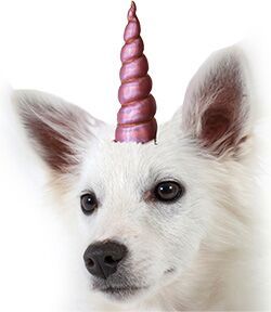Dog Party Hats: MAGIC UNICORN HORN Party Hat with Iridescent Finish Plush 5" Tall MiragePetProducts