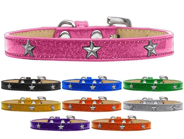 Widget Dog Collars: Ice Cream Dog Collar with SILVER STAR Widgets in Various Colors and Sizes