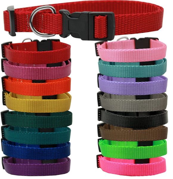 Dog Collars: PLAIN NYLON MARTINGALE Dog Collar in Various Colors & Sizes-Leashes Sold Separately