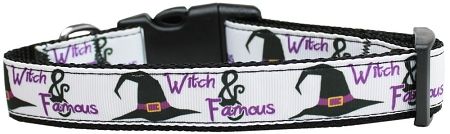 Holiday Nylon Dog Collars: Nylon Ribbon Collar WITCH AND FAMOUS - Matching Leash Sold Separately