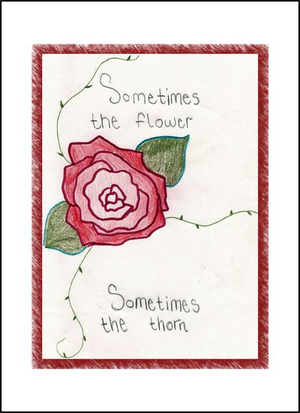 Sometimes the Flower... Sometimes the Thorn