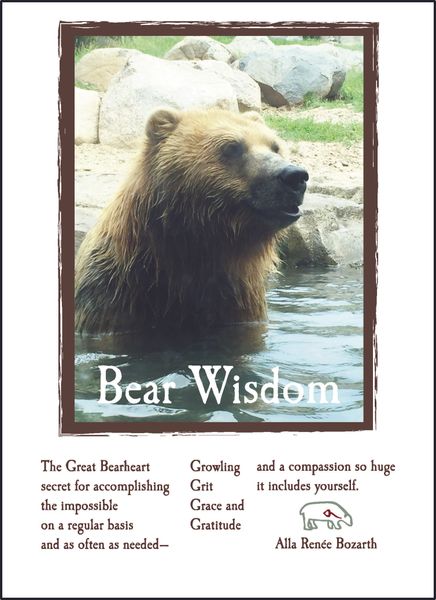 Bear Wisdom - Soul Card