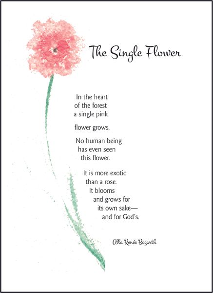 The Single Flower Soul Card