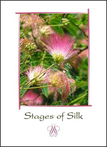 Stages of Silk Soul Card