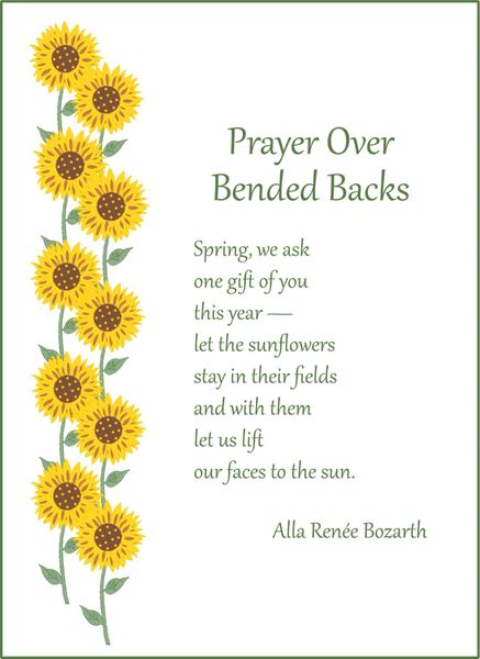 Prayer Over Bended Backs Soul Card