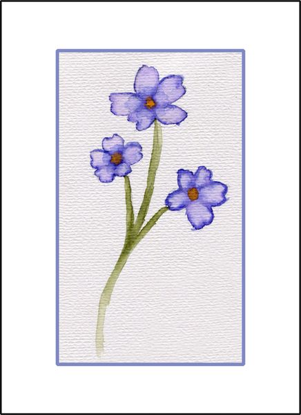 Periwinkle Flower Study - Watercolor