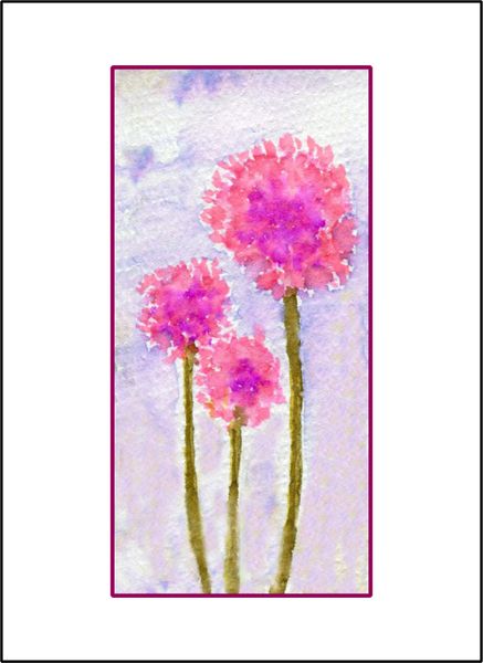 Pink Cornflowers - Watercolor
