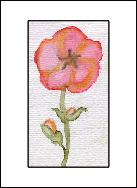 Poppy - Watercolor
