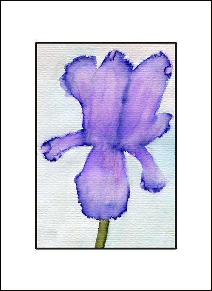 Purple Iris - Watercolor