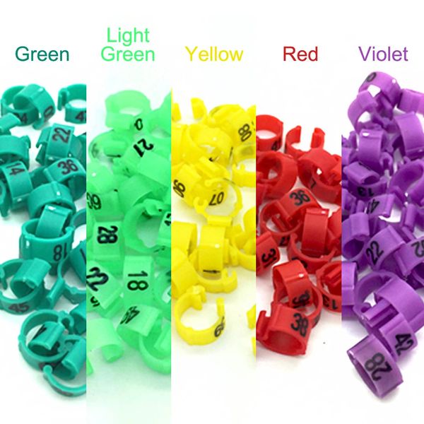 Numbered Clip Rings (Pack of 50) 5 Colours