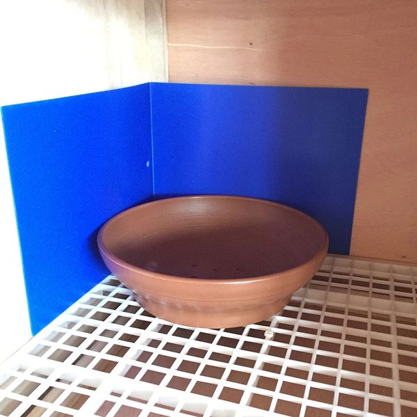 Nest Box Corner Shield