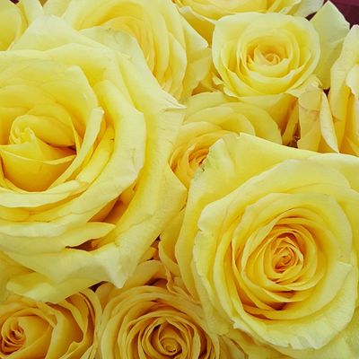 Yellow Rose Bouquet