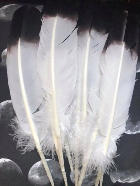 Beautiful Imitation Eagle Feather