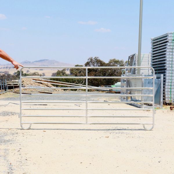 2.1m Economy Sheep Panel Corcoran Rural